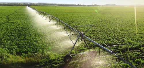 Crop Irrigation