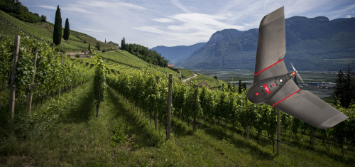 Orchards & Vineyards