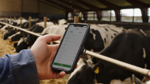 dtm-app-precision-feeding-dinamica-generale-5