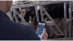 dtm-app-precision-feeding-dinamica-generale-6