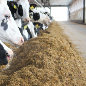 Refused Feed Management